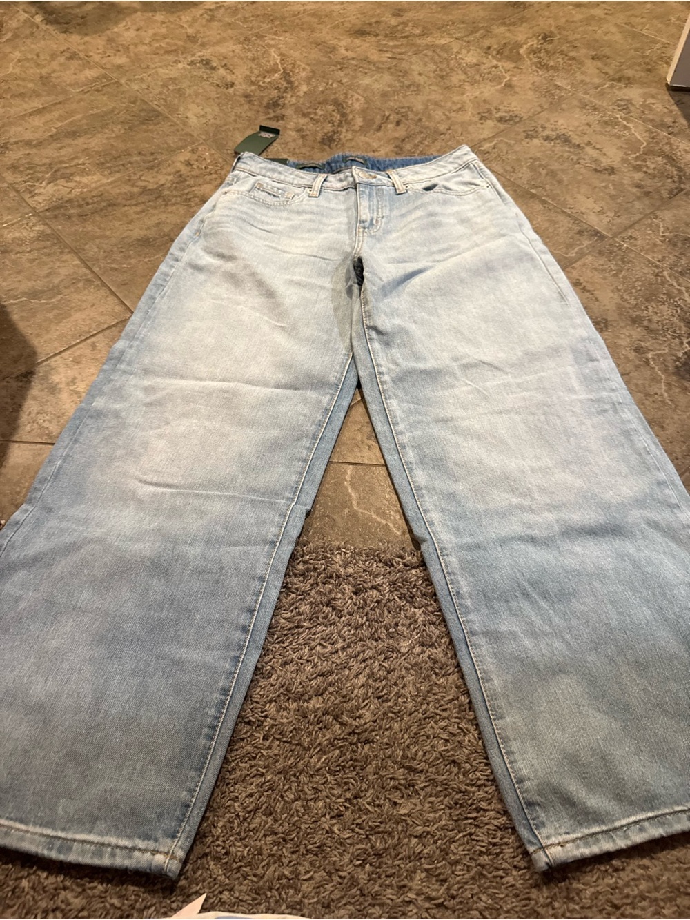 🐈 Wild Fable Low rise baggy jean
